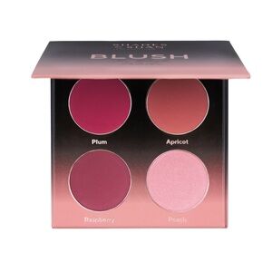 Shades By Shan Quad Blush Pallete 

* Used once